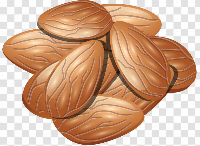 Walnut Nuts Clip Art - Pine Nut - Almond Transparent PNG