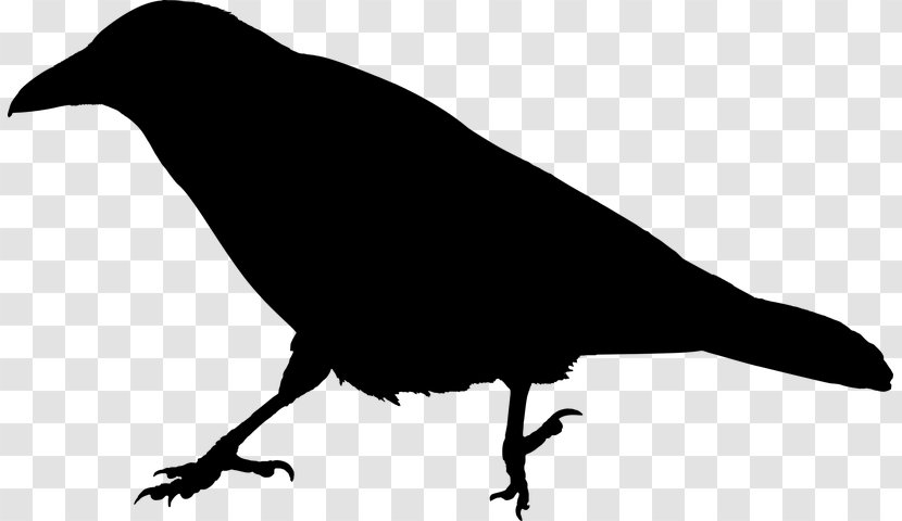Robin Bird - Crow - Wing Finch Transparent PNG