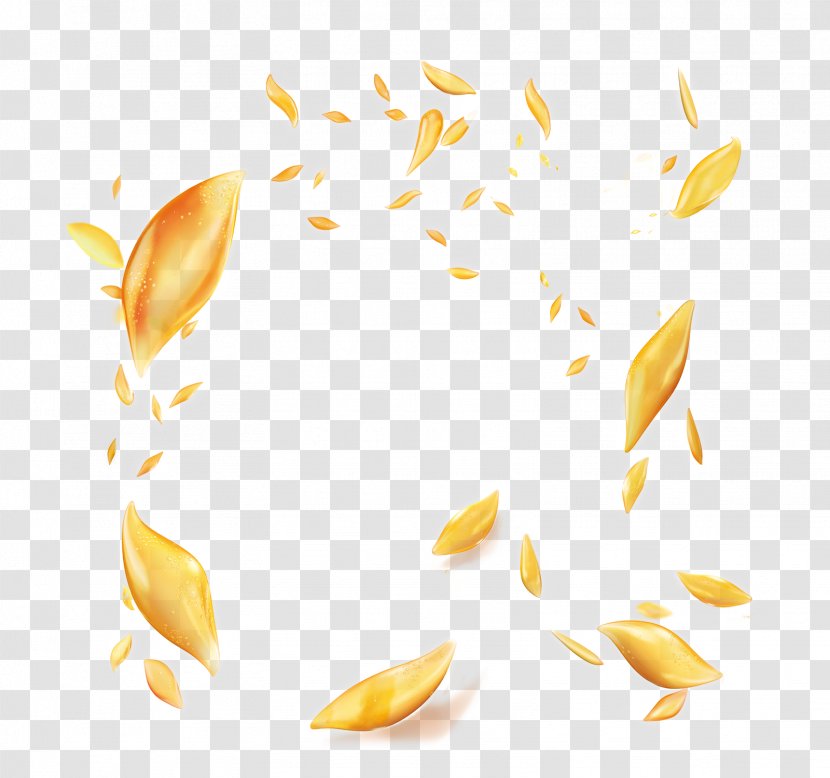 Yellow Petal Designer - Orange Juice Transparent PNG