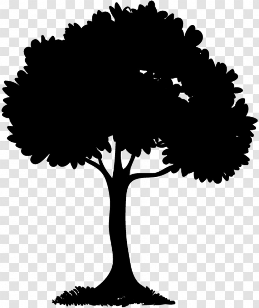 Tree Branch Silhouette - Logo - Leaf Transparent PNG