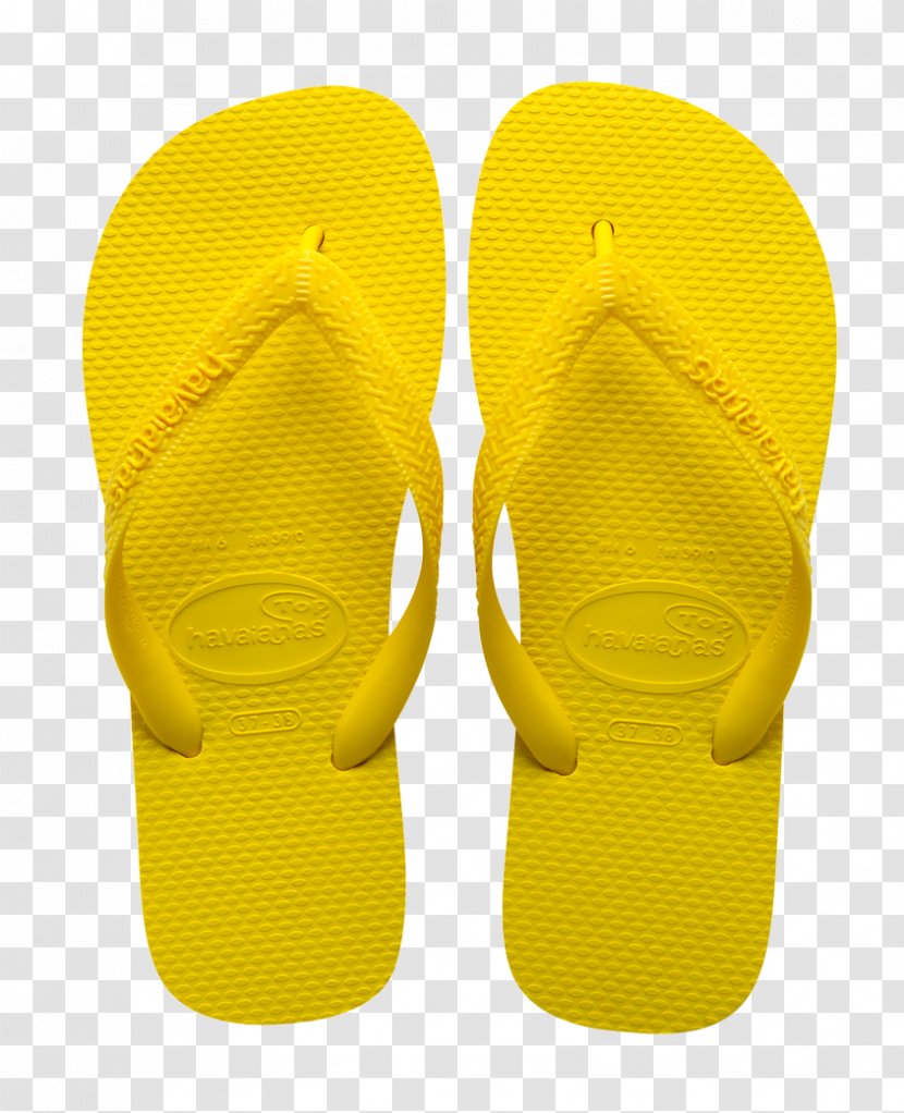 Flip-flops Shoe - December - Fan Transparent PNG