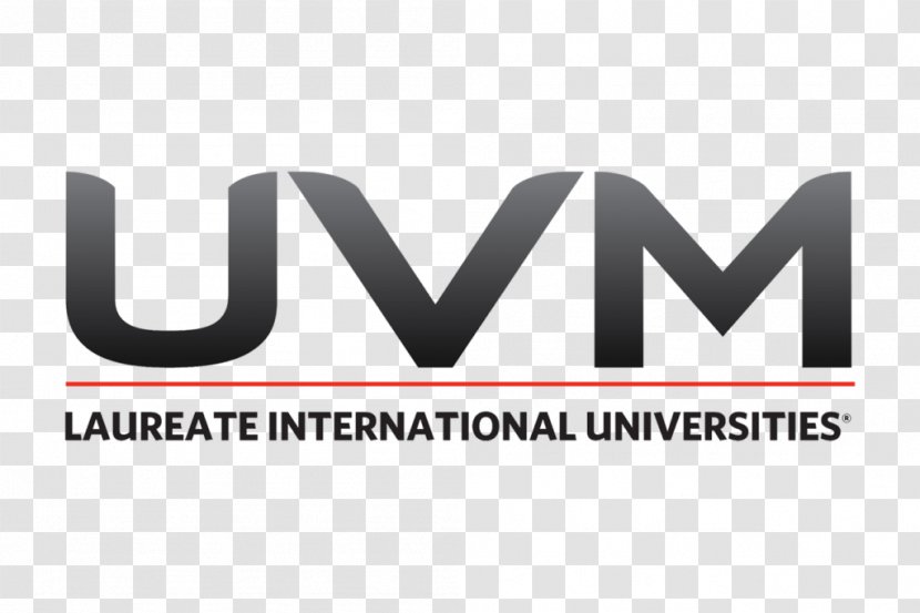 Universidad Del Valle De México Lomas Verdes University 3D MARKET Student - College Transparent PNG