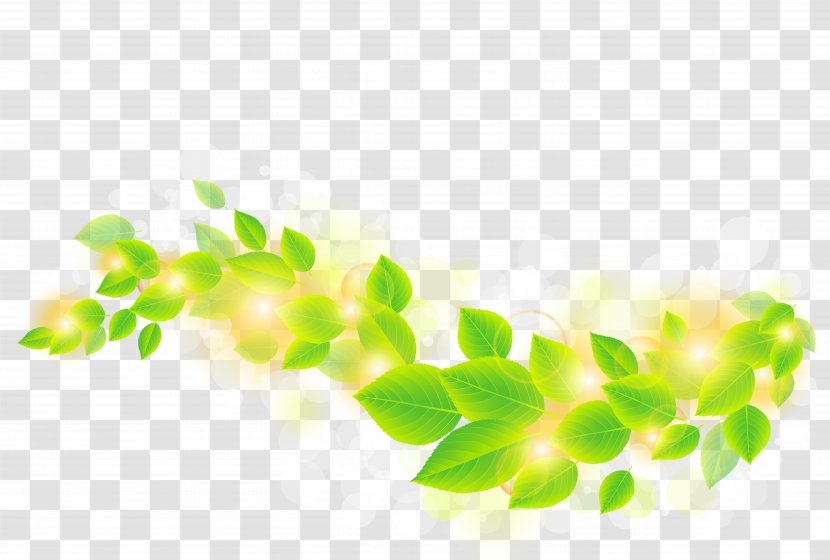 Leaf Green - Tree - Vector Leaves Transparent PNG