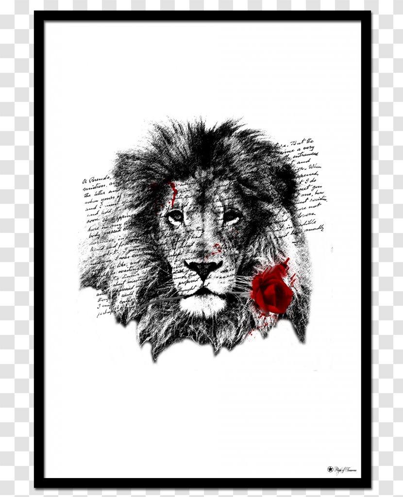 T-shirt Lion Wildlife Greeting & Note Cards Crew Neck - Fashion Transparent PNG
