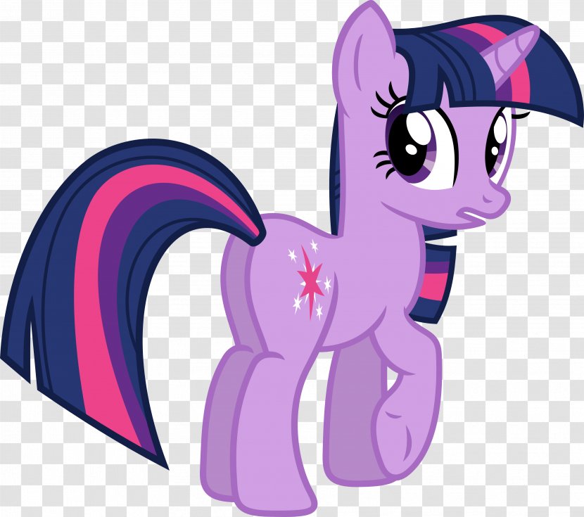 Twilight Sparkle Rainbow Dash Pony Pinkie Pie Princess Cadance - Flower - Vector Transparent PNG