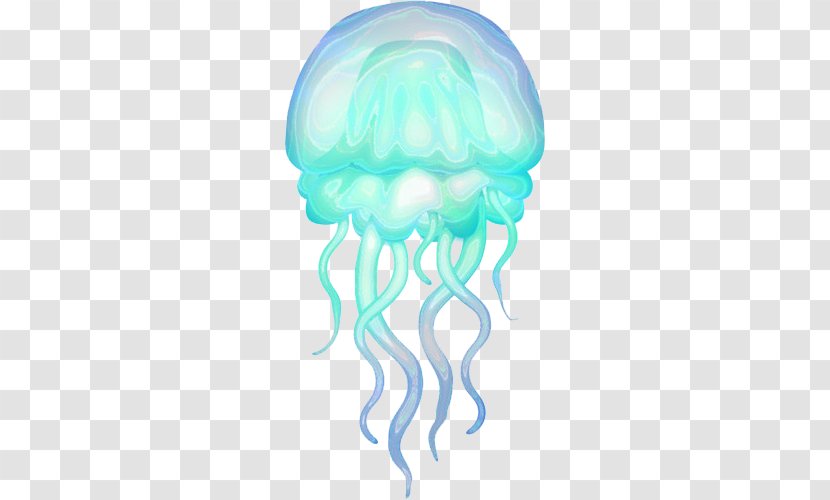 Jellyfish Drawing - Cnidaria - Medusa Transparent PNG