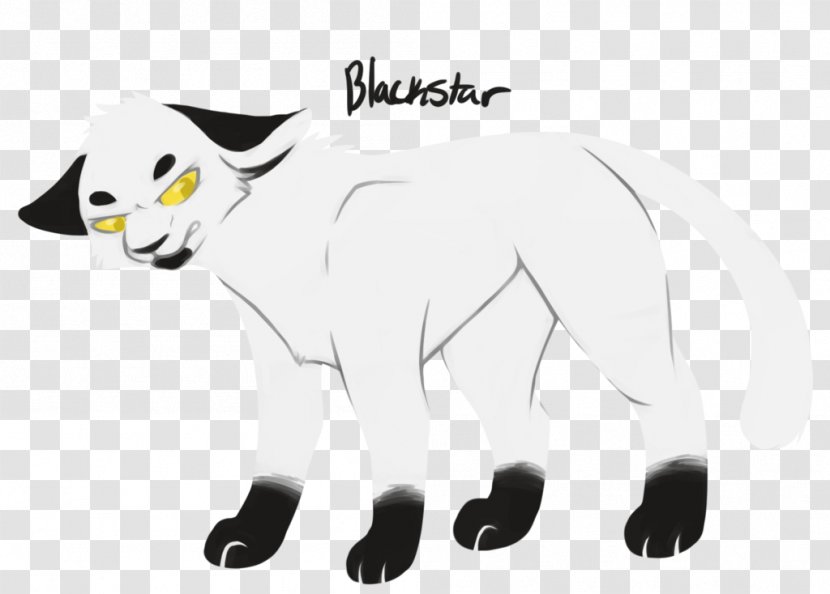 Whiskers Cat Warriors Firestar Cloudtail - Leafpool Transparent PNG