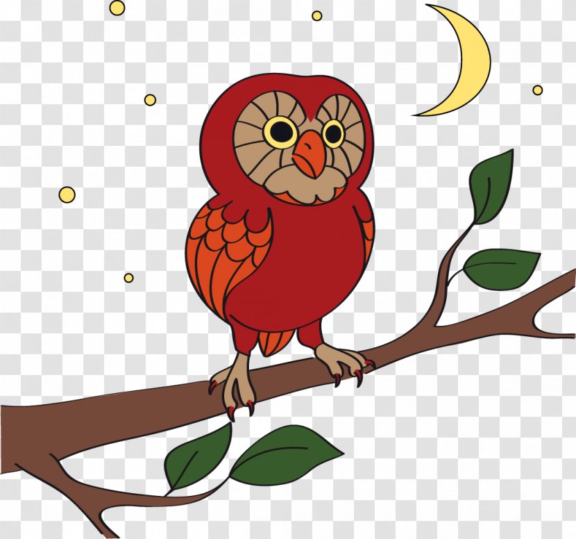 Owl Bird Cartoon - Drawing - Vector Transparent PNG