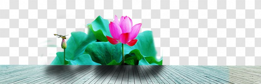 Floral Design Flowerpot Artificial Flower Green Wallpaper - Petal - Lotus Wood Transparent PNG