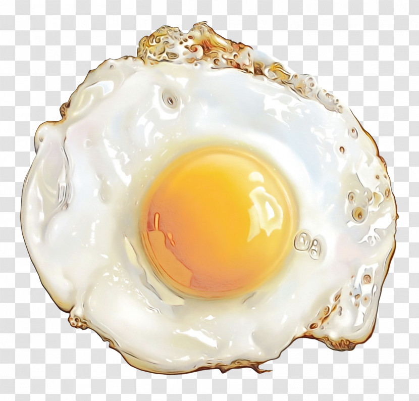 Egg Transparent PNG