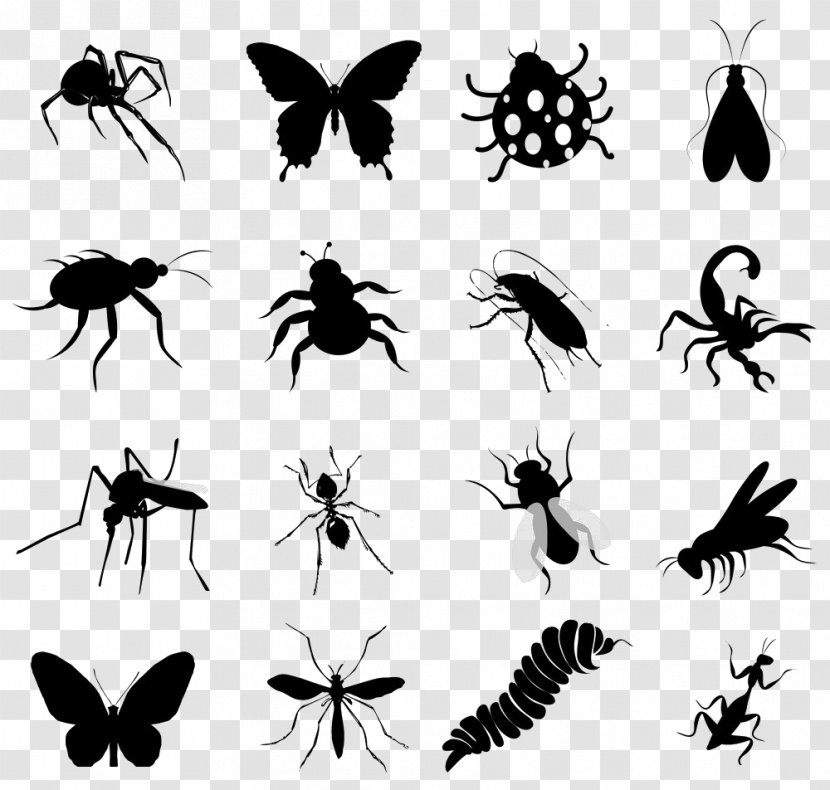 Insect Silhouette Butterfly Clip Art - Black And White - Silhouettes Transparent PNG