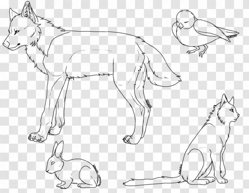 Line Art Whiskers Dog Breed Cat - Deviantart Transparent PNG