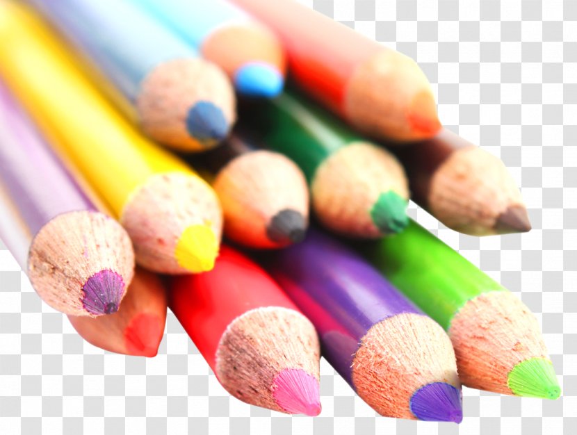 Colored Pencil - Various Color Pencils Transparent PNG