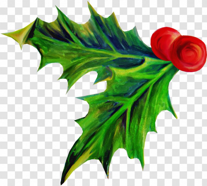Holly - Tree - Plane Transparent PNG