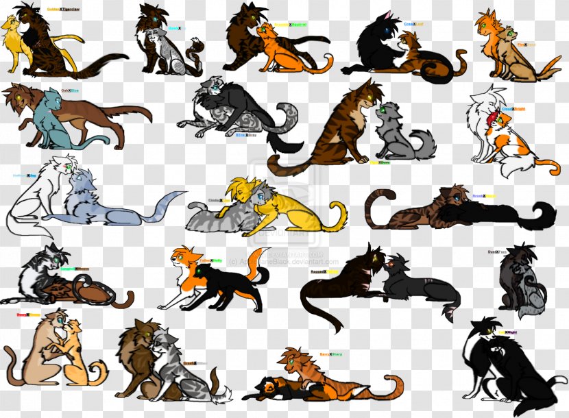 Cat Warriors: The Prophecies Begin Firestar Drawing - Squirrelflight Transparent PNG
