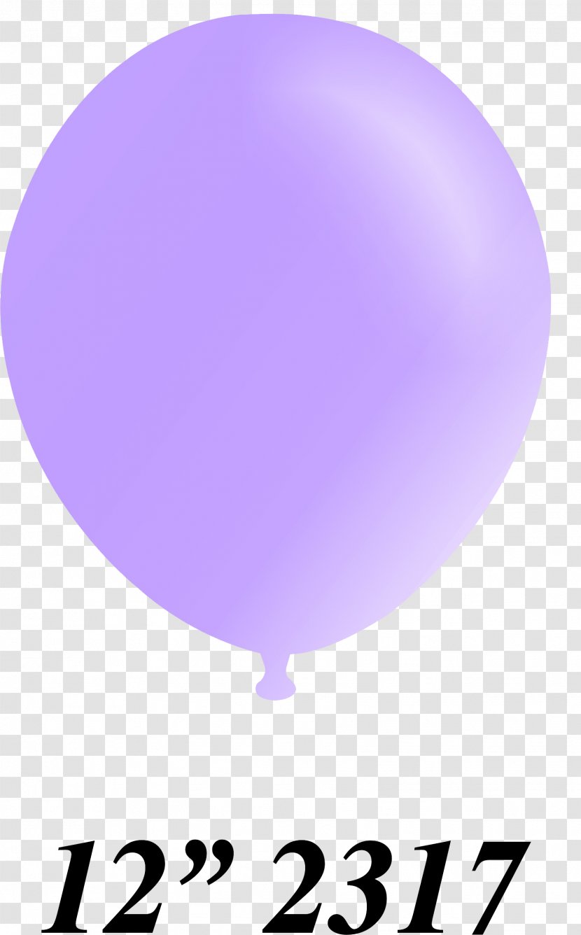 Ternua Sphere XL Balloon Product Design Purple Font - Xl Transparent PNG