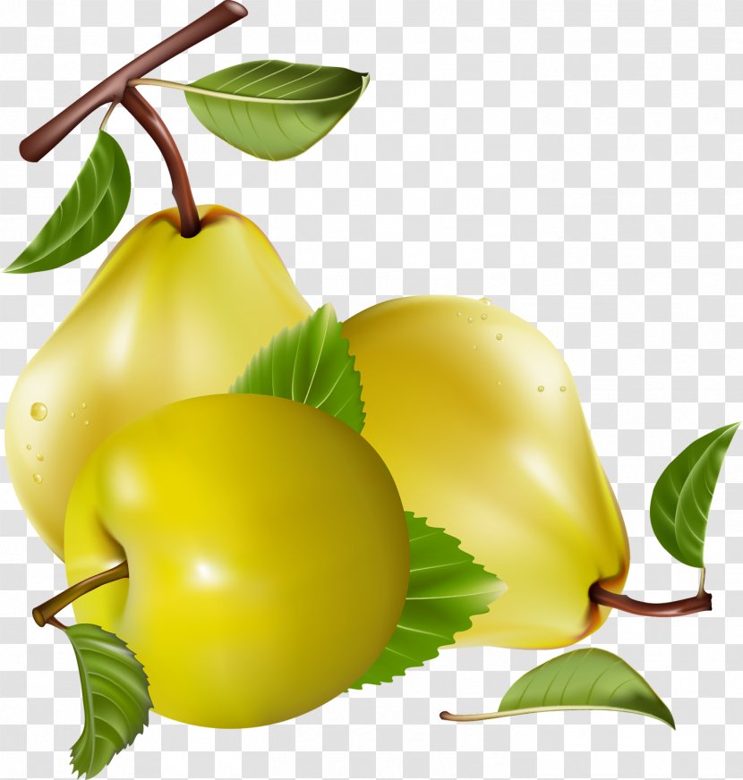 Juice Fruit Clip Art - Apple - Apricot Transparent PNG