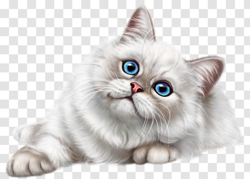 Asian Semi-longhair Malayan Cat Birman Ragamuffin Napoleon - Woman Transparent PNG