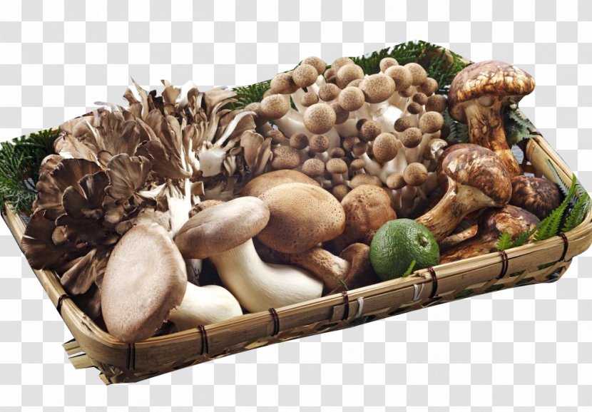 Fungus Mushroom Vegetable Food Shiitake - Energy - Platter Physical Map Transparent PNG