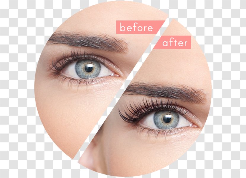 Eyelash Extensions Artificial Hair Integrations Beauty Parlour - Skin - Eyelashes Transparent PNG