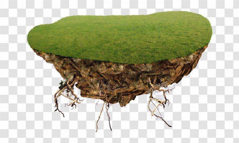 Tree - Table - Floating Island Transparent PNG
