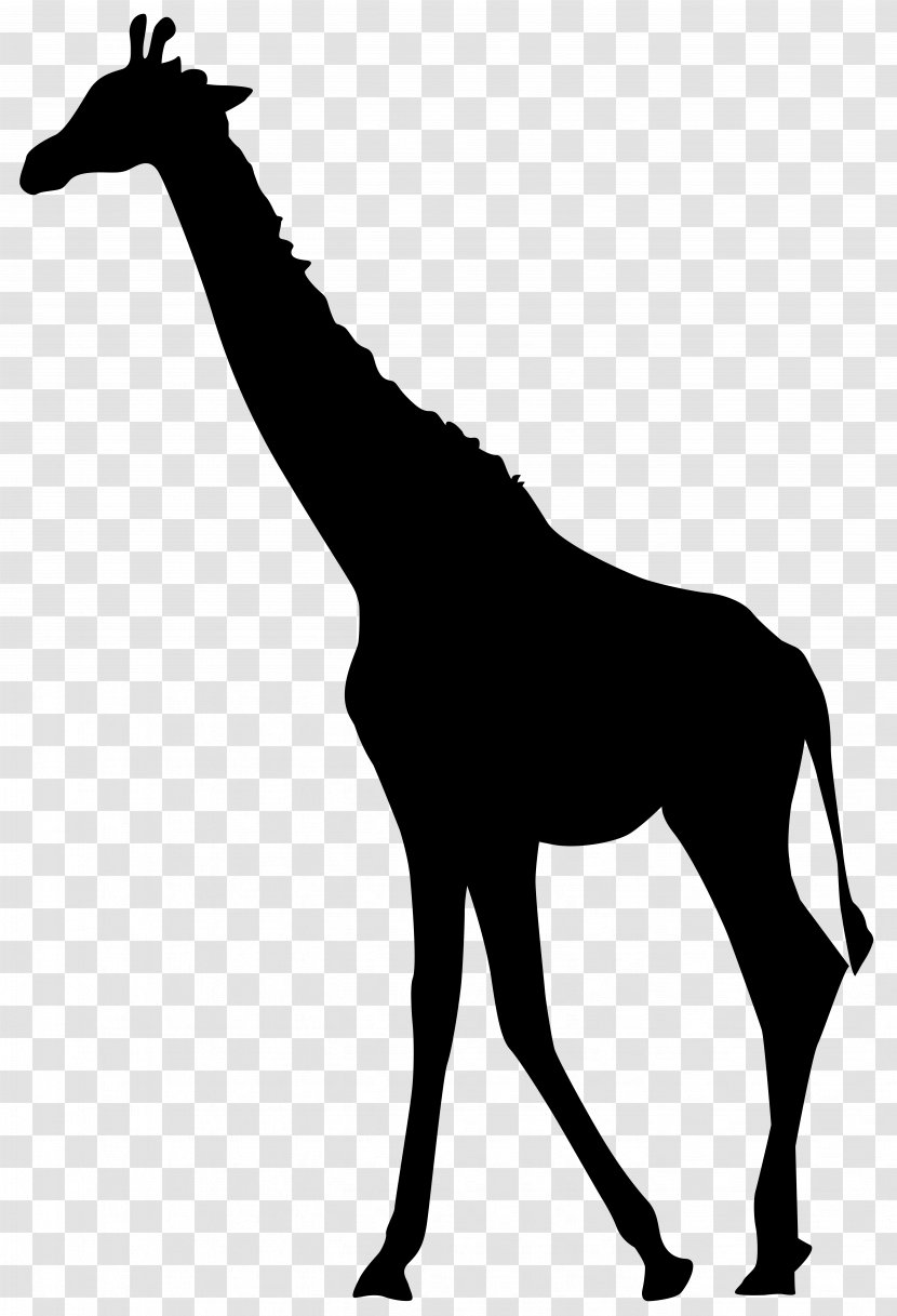 Giraffe - Wildlife - Silhouette Transparent Clip Art Image Transparent PNG