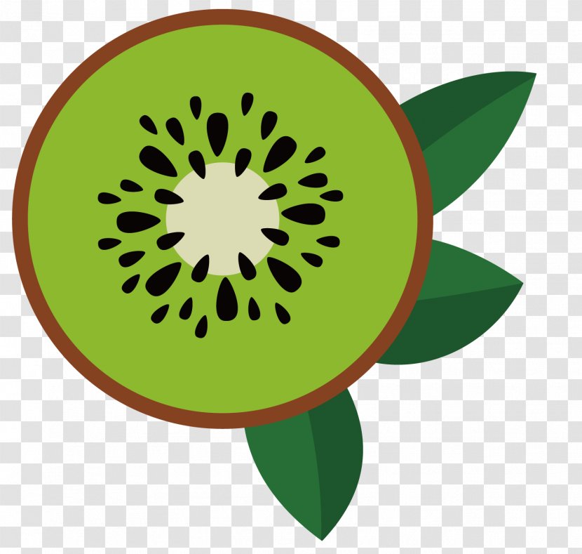 Real Estate Institute Of New South Wales (REINSW) Kiwifruit Sales - Organism - Cut Kiwi Transparent PNG
