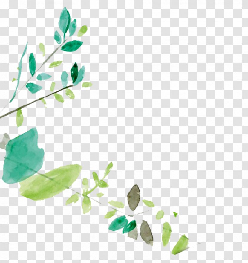Leaf Poster - Plant - Women Hand-painted Leaves Transparent PNG