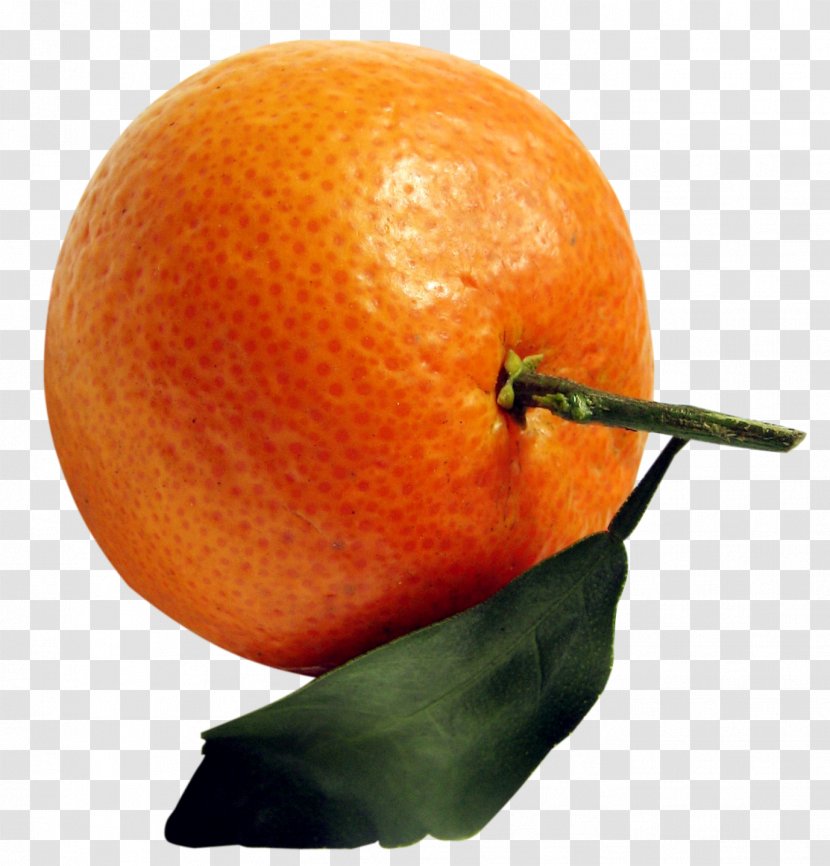 Clementine Tangerine Mandarin Orange Tangelo Rangpur - Diet Food Transparent PNG