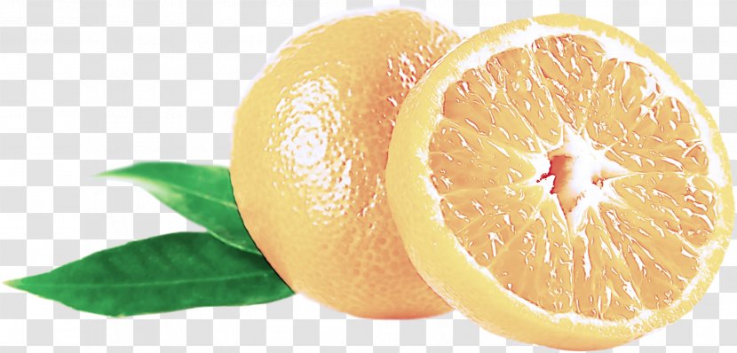 Citrus Fruit Lemon Lime Citric Acid - Grapefruit Sweet Transparent PNG