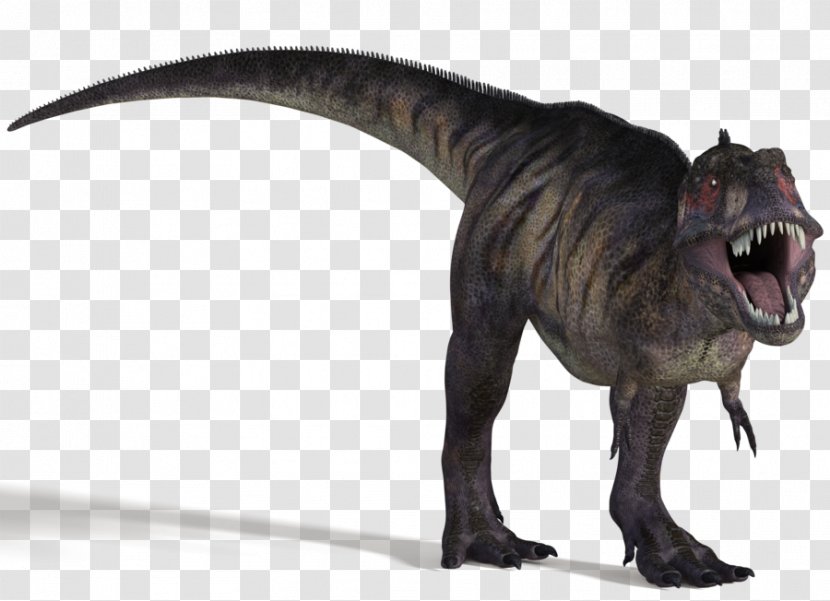 Tyrannosaurus Majungasaurus Apatosaurus Spinosaurus Dinosaur Transparent PNG