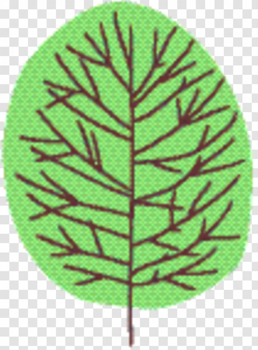 Green Leaf Background - Vascular Plant Transparent PNG