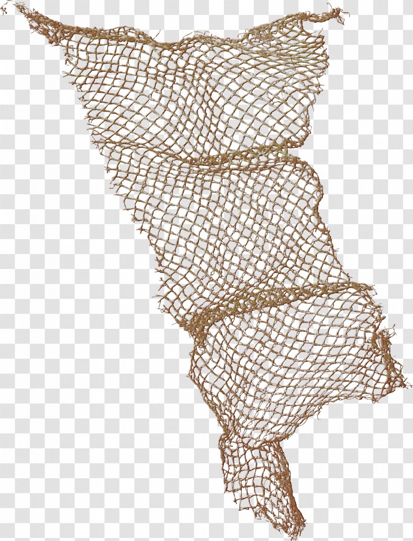 Barbwire - Tree - Heart Transparent PNG