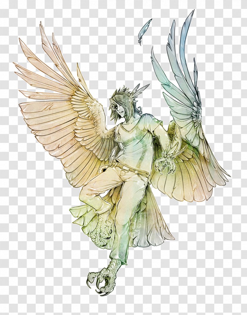 Harpy Eagle Legendary Creature Art Celeno - Crepes Transparent PNG