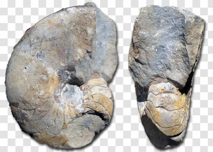 Mineral Stone Tool Artifact - Early Transparent PNG