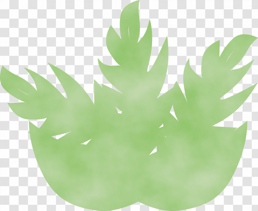 Leaf Green M-tree Tree Lawn Transparent PNG