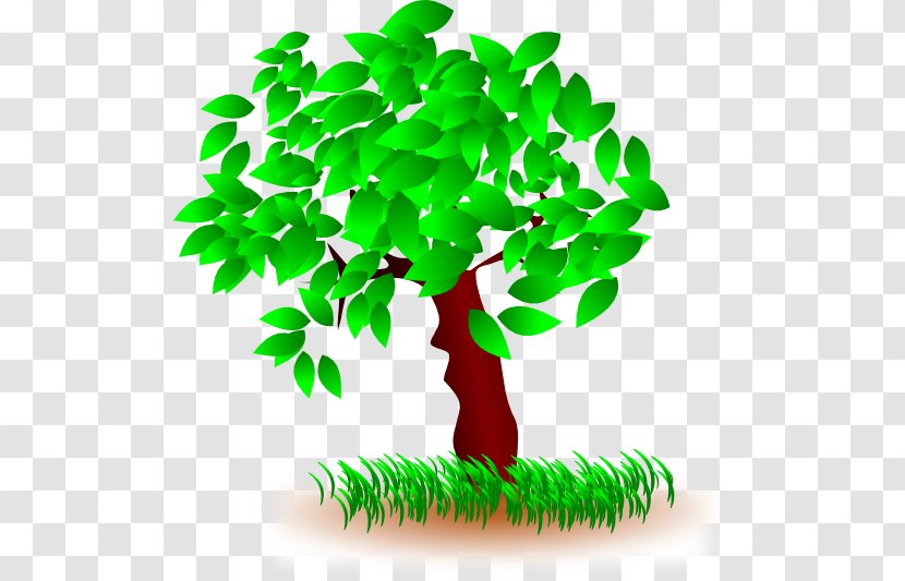 Tree Desktop Wallpaper Clip Art - Flowerpot - Natural Environment Transparent PNG