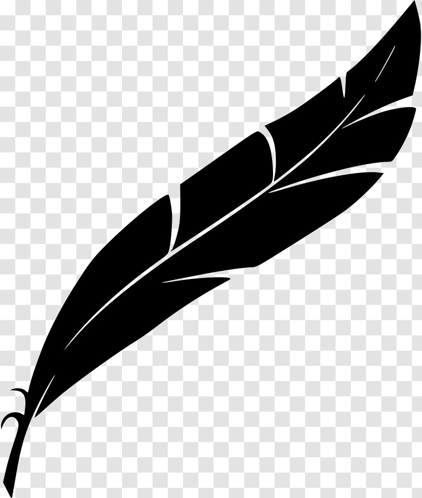 Feather Quill - Black And White Transparent PNG