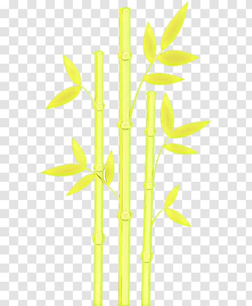 Bamboo Leaf - Cartoon - Twig Grass Family Transparent PNG