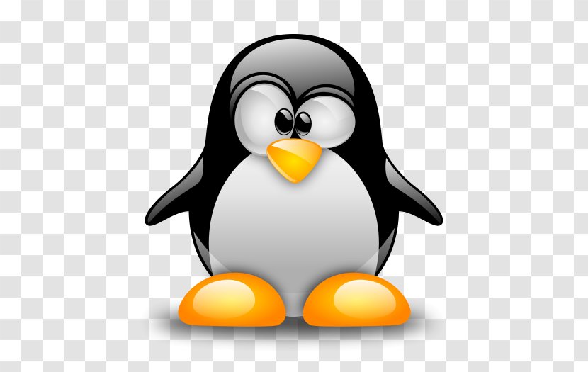 Computer Servers Linux Installation Samba Software Build Transparent PNG