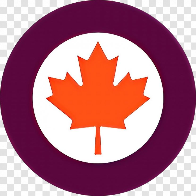 Canada Maple Leaf - Woody Plant - Emblem Logo Transparent PNG