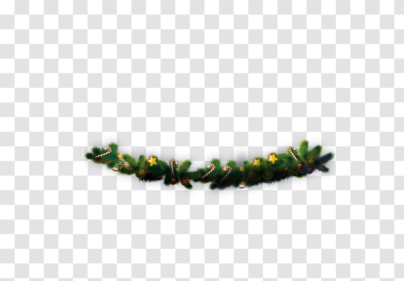Wreath Garland Christmas - Green - Pine Transparent PNG