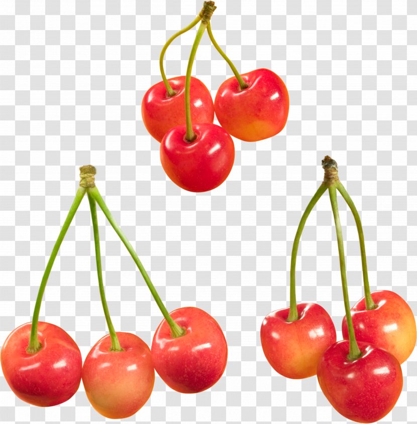 Sweet Cherry Cerasus Food Fruit - Natural Foods Transparent PNG