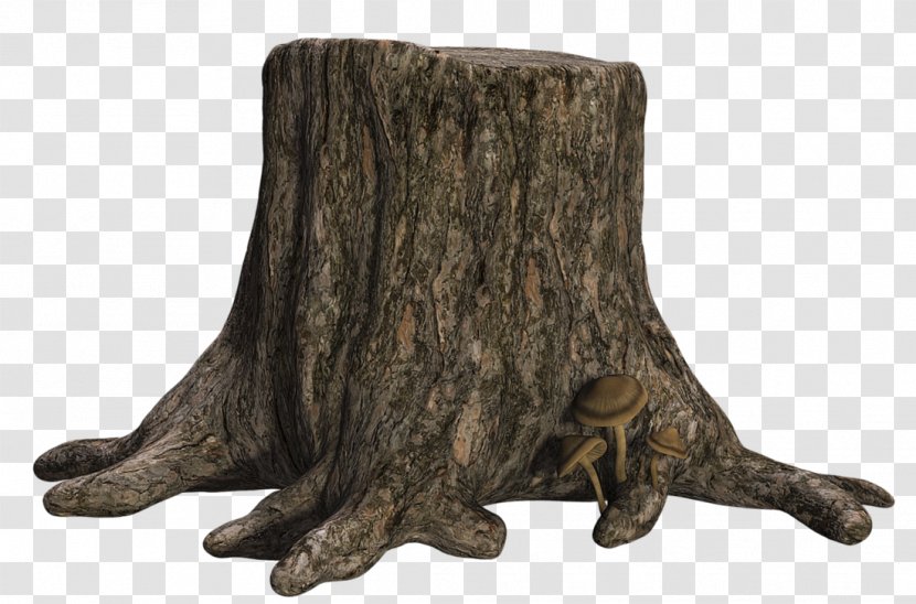 Tree Stump Trunk Transparent PNG