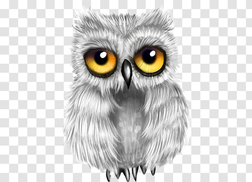 Great Grey Owl Drawing Bird - Beak Transparent PNG