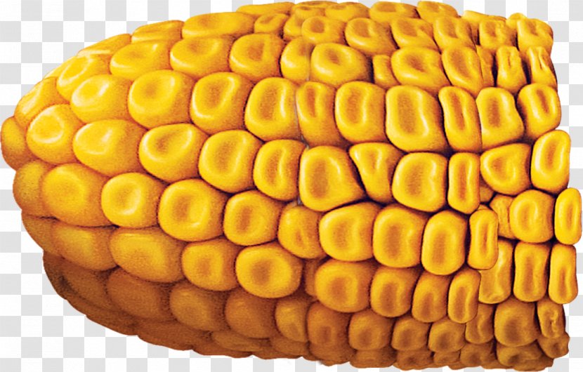 Corn On The Cob Finance Maize Price Money - Commodity - Food Import Transparent PNG