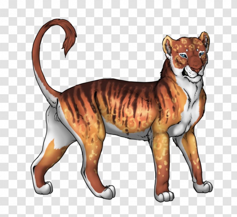 Lion Tiger Panther Whiskers Simba - Art Transparent PNG