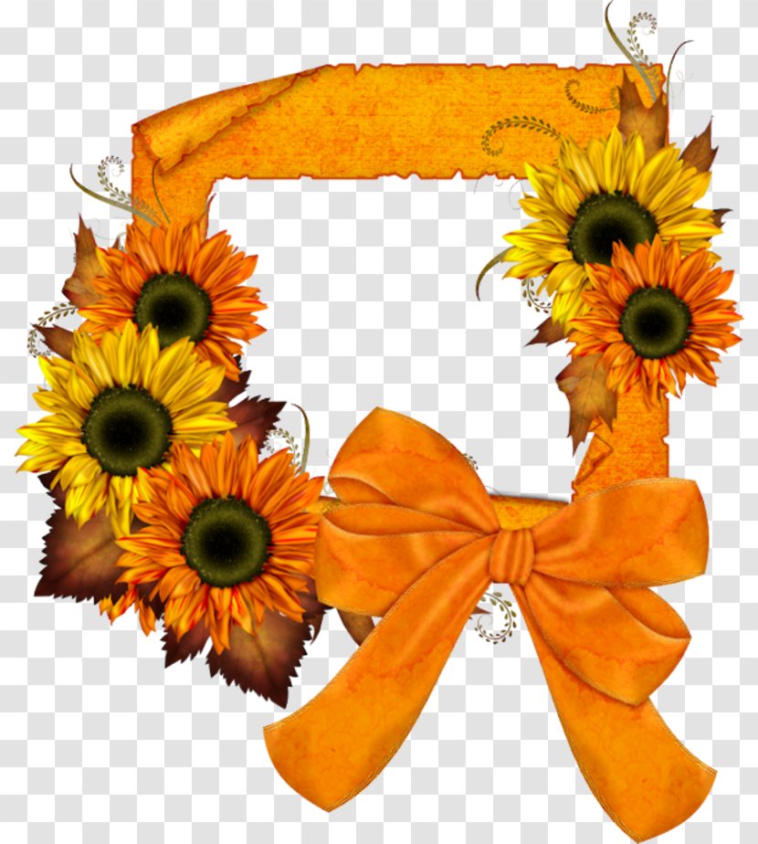 Common Sunflower Picture Frames Clip Art - Petal - Flower Transparent PNG
