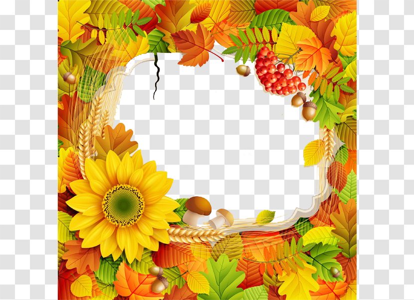 Fall Promotional Posters Border - Picture Frames - Autumn Leaf Color Transparent PNG