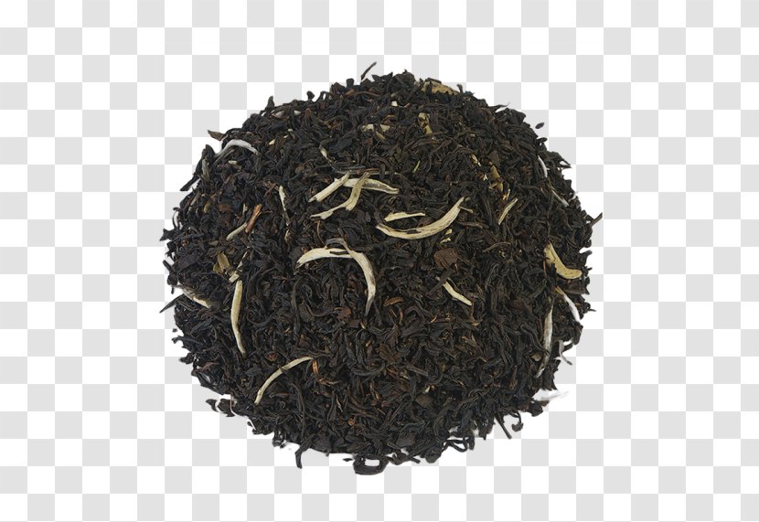 Dianhong Nilgiri Tea Oolong Darjeeling White - Golden Monkey - Saint Petersburg Transparent PNG